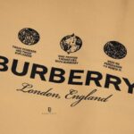 Áo Sơ mi tay dài Burberry Trafford with logo kẻ caro