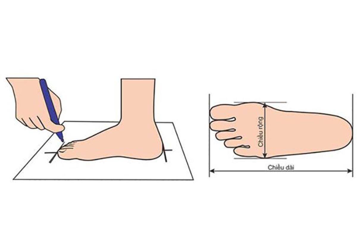Lưu ý về đặc điểm bàn chân khi lựa chọn size giày Louis Vuitton