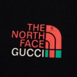 Áo Polo Gucci viền cổ xanh logo "The North Face"