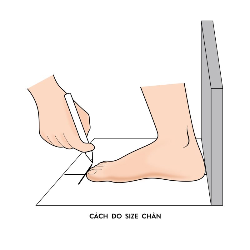 Hướng dẫn cách đo size giày đúng chuẩn